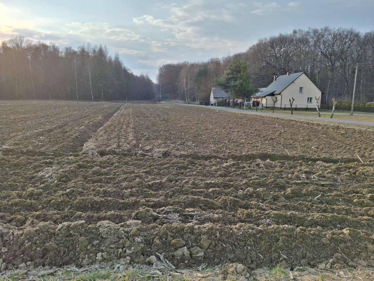 Działka rolno-budowlana Piotrowice, ul. Graniczna. Zdjęcie 15