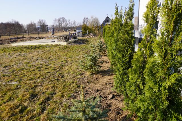 Działka budowlana Boszkowo-Letnisko, ul. Piaskowa. Zdjęcie 1