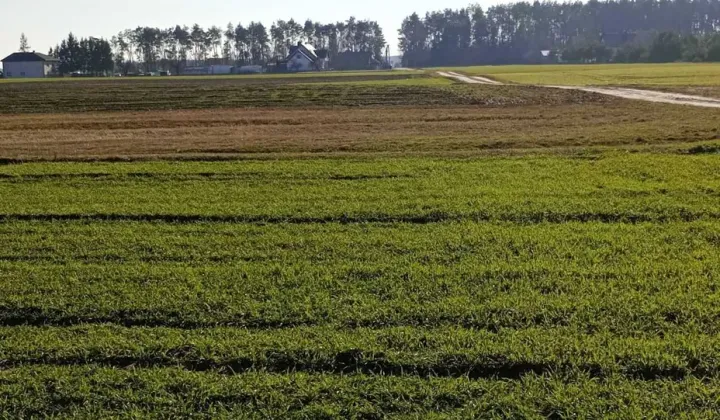 Działka rolno-budowlana Rzeczyca