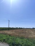 Działka rolno-budowlana Stabrów. Zdjęcie 3