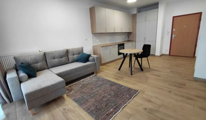 Mieszkanie 1-pokojowe Poznań Jeżyce, ul. Jana Henryka Dąbrowskiego