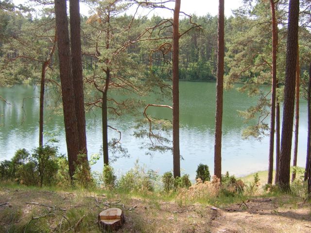 Działka rekreacyjna Stara Kiszewa. Zdjęcie 1