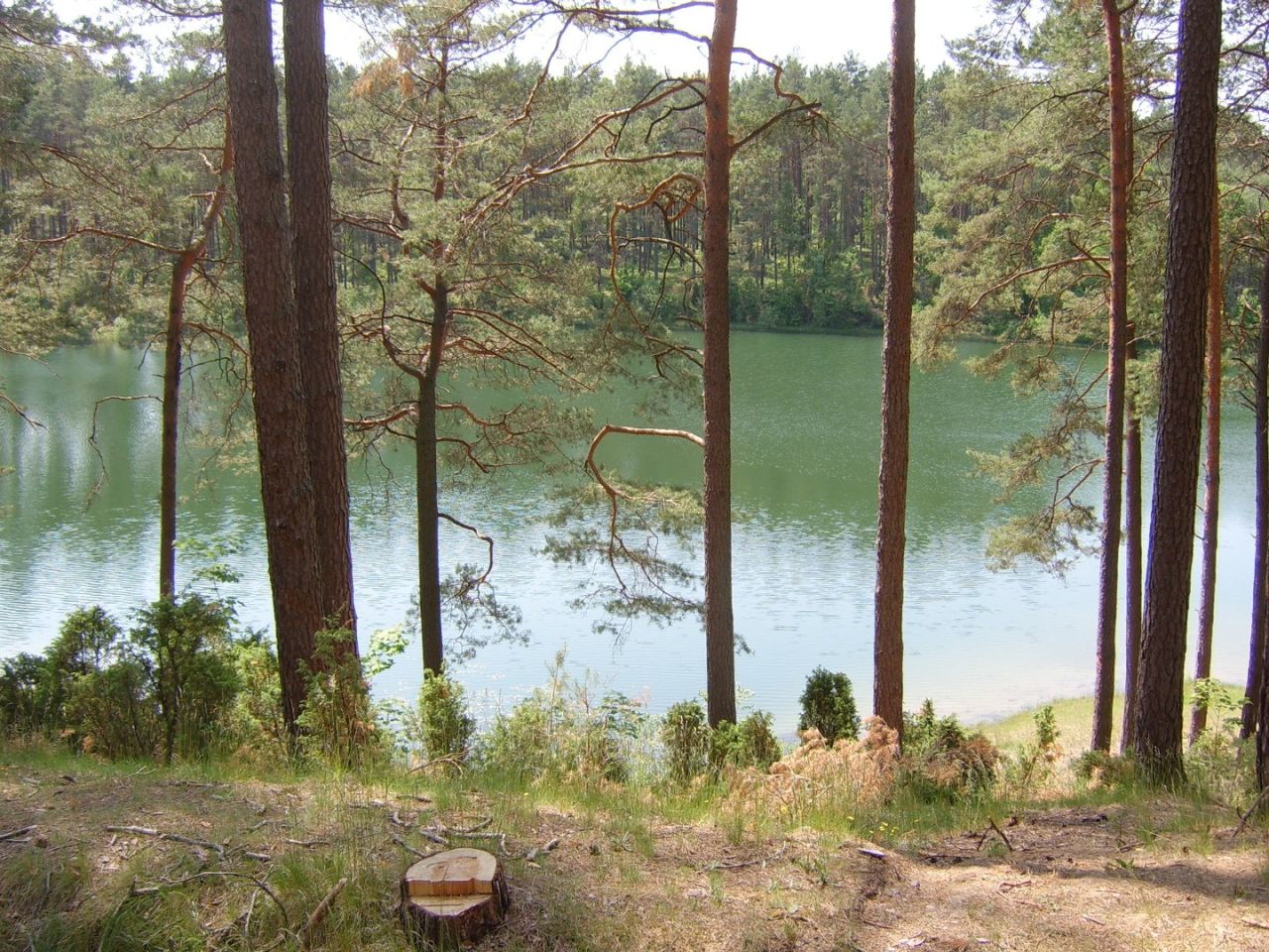 Działka rekreacyjna Stara Kiszewa