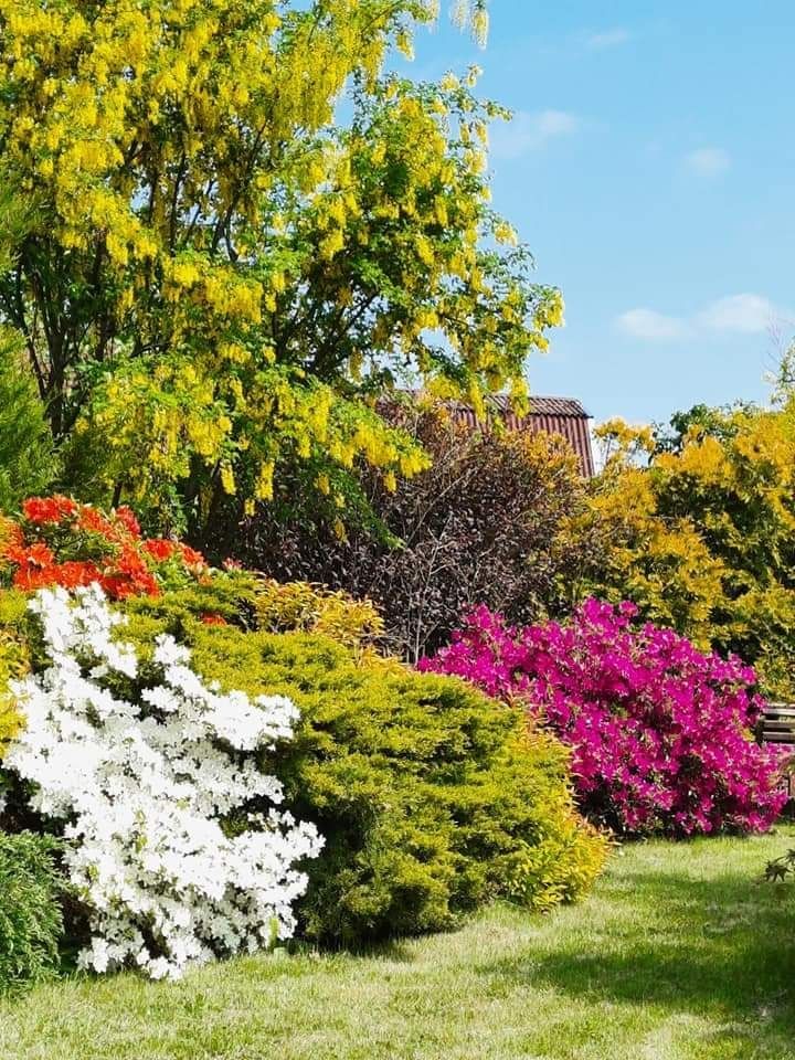 Działka rekreacyjna Wawrów. Zdjęcie 2