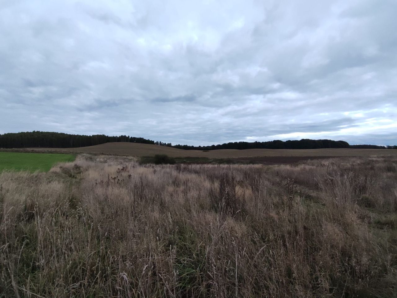 Działka rolno-budowlana Borzytuchom. Zdjęcie 5