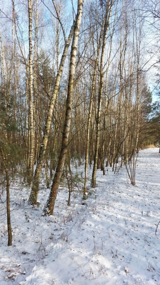 Działka budowlana Kalinowo. Zdjęcie 3