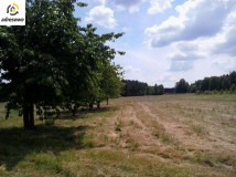 Działka rolna Redlanka. Zdjęcie 4