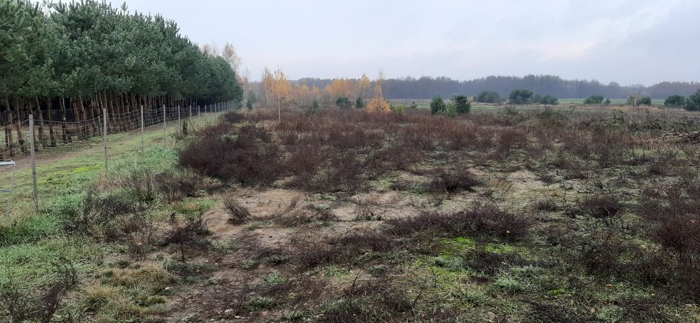 Działka rolno-budowlana Huta Nowa. Zdjęcie 3