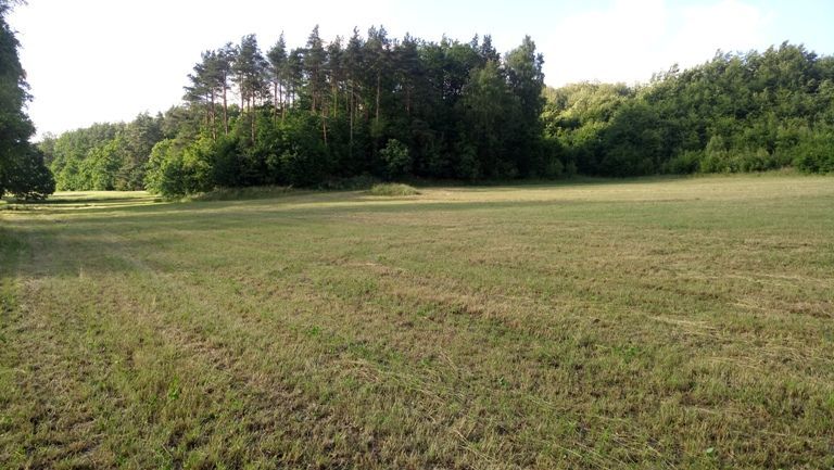 Działka siedliskowa Tadzino. Zdjęcie 2