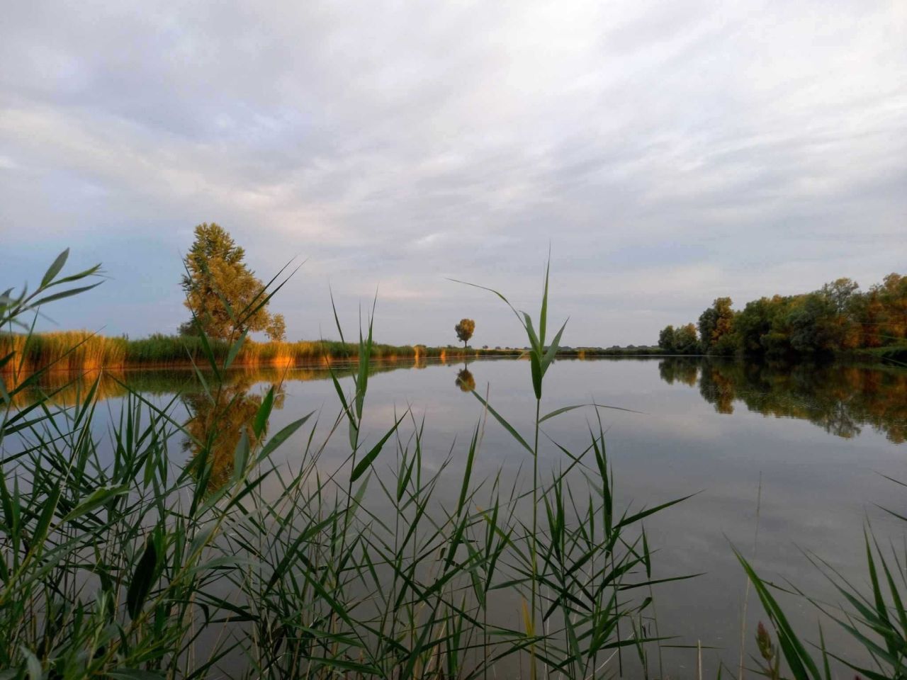 Działka rolna Dębina. Zdjęcie 6