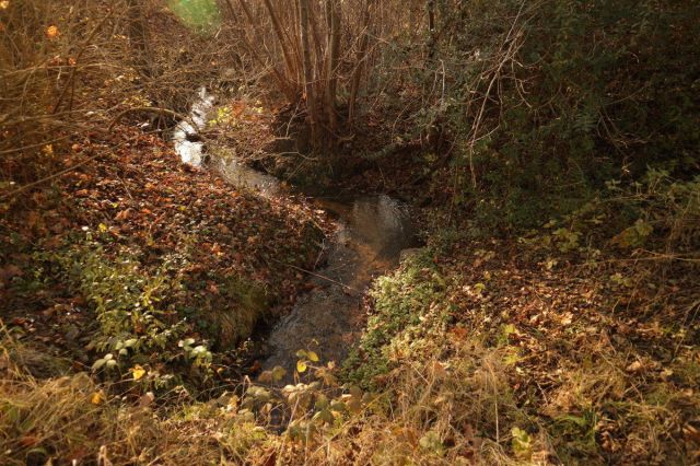 Działka budowlana Czerwonak, ul. Leśna. Zdjęcie 8