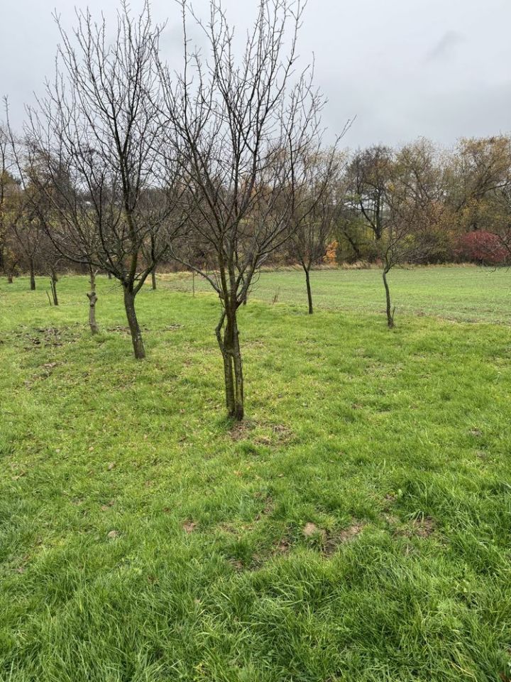 Działka rolna Stary Krasieniec. Zdjęcie 5