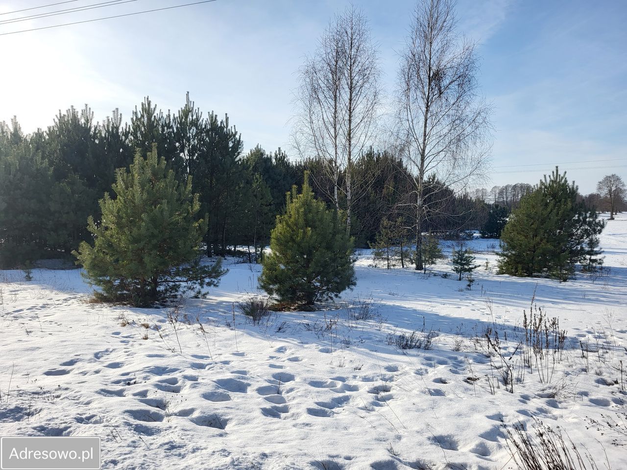 Działka rolna Chełsty. Zdjęcie 2