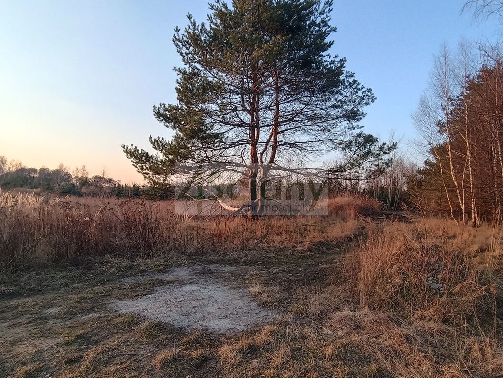 Działka budowlana Żelechów. Zdjęcie 4