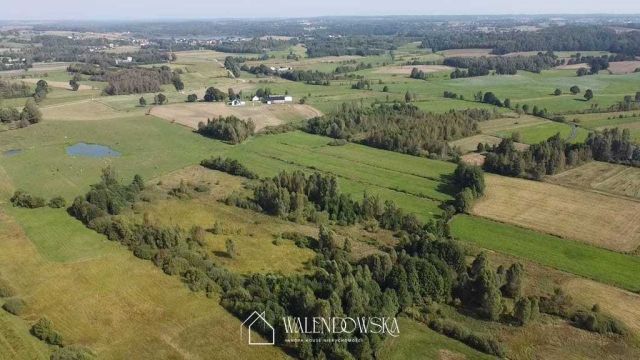 Działka rolna Gowidlino. Zdjęcie 6
