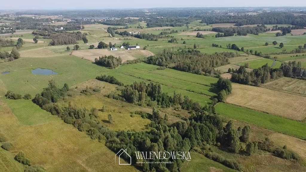 Działka rolna Gowidlino. Zdjęcie 6