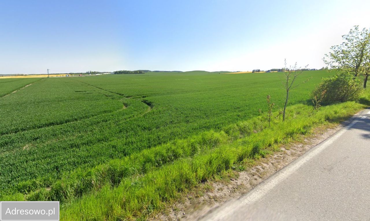 Działka rolna Stanisławie. Zdjęcie 3