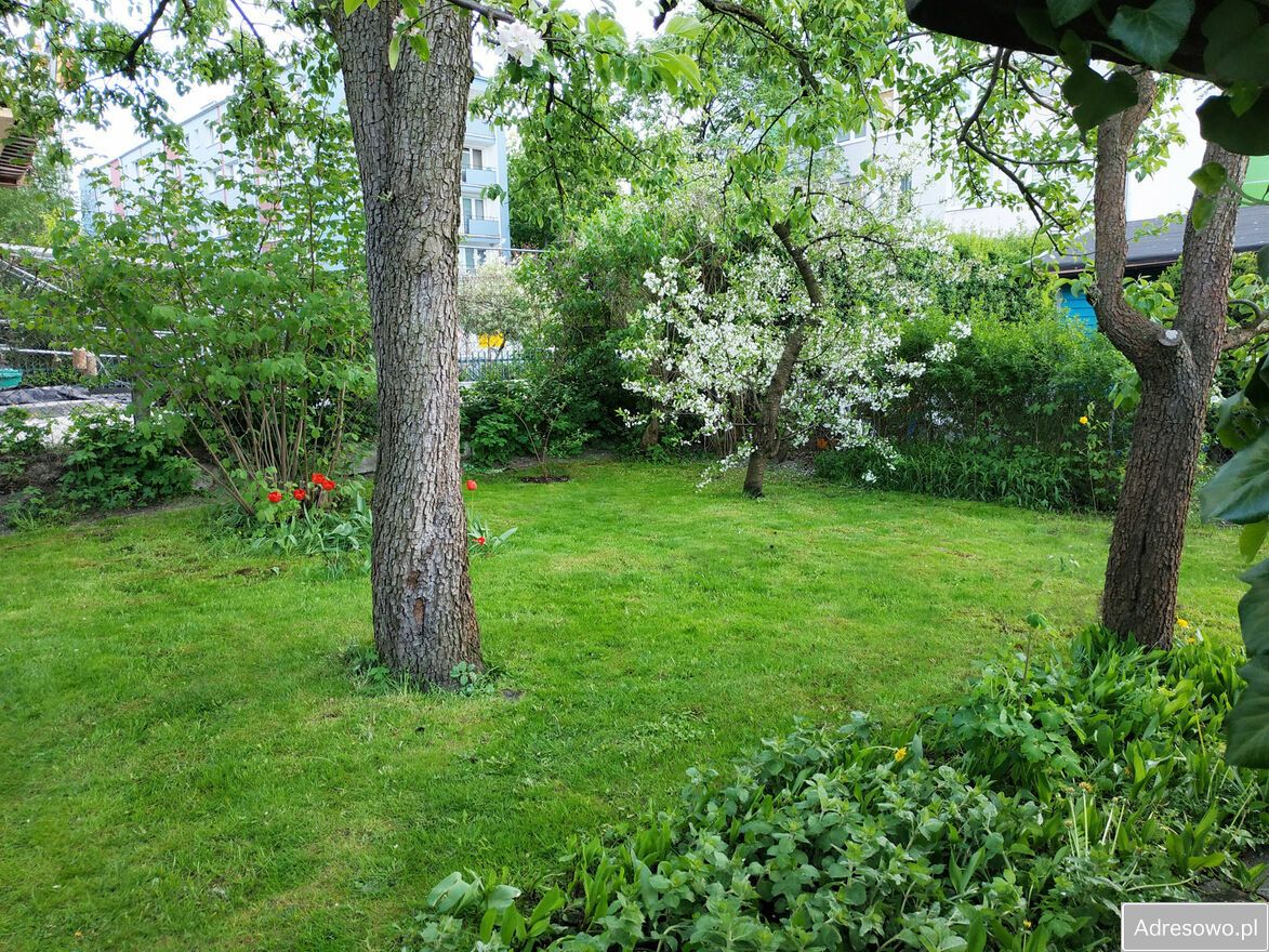 Działka rod Warszawa Mokotów, al. Niepodległości. Zdjęcie 6