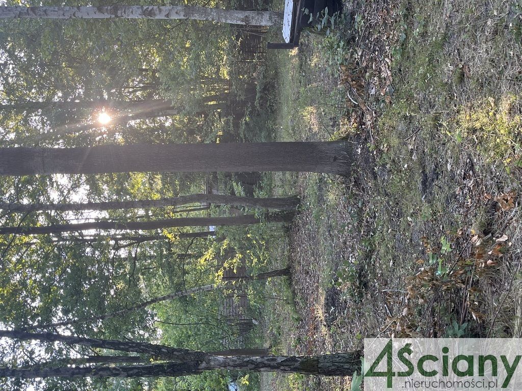 Działka budowlana Złotokłos. Zdjęcie 10