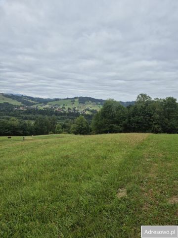 Działka budowlana Czarna Góra. Zdjęcie 1