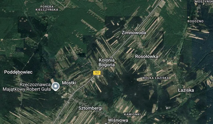 Działka leśna Kolonia Bogoria