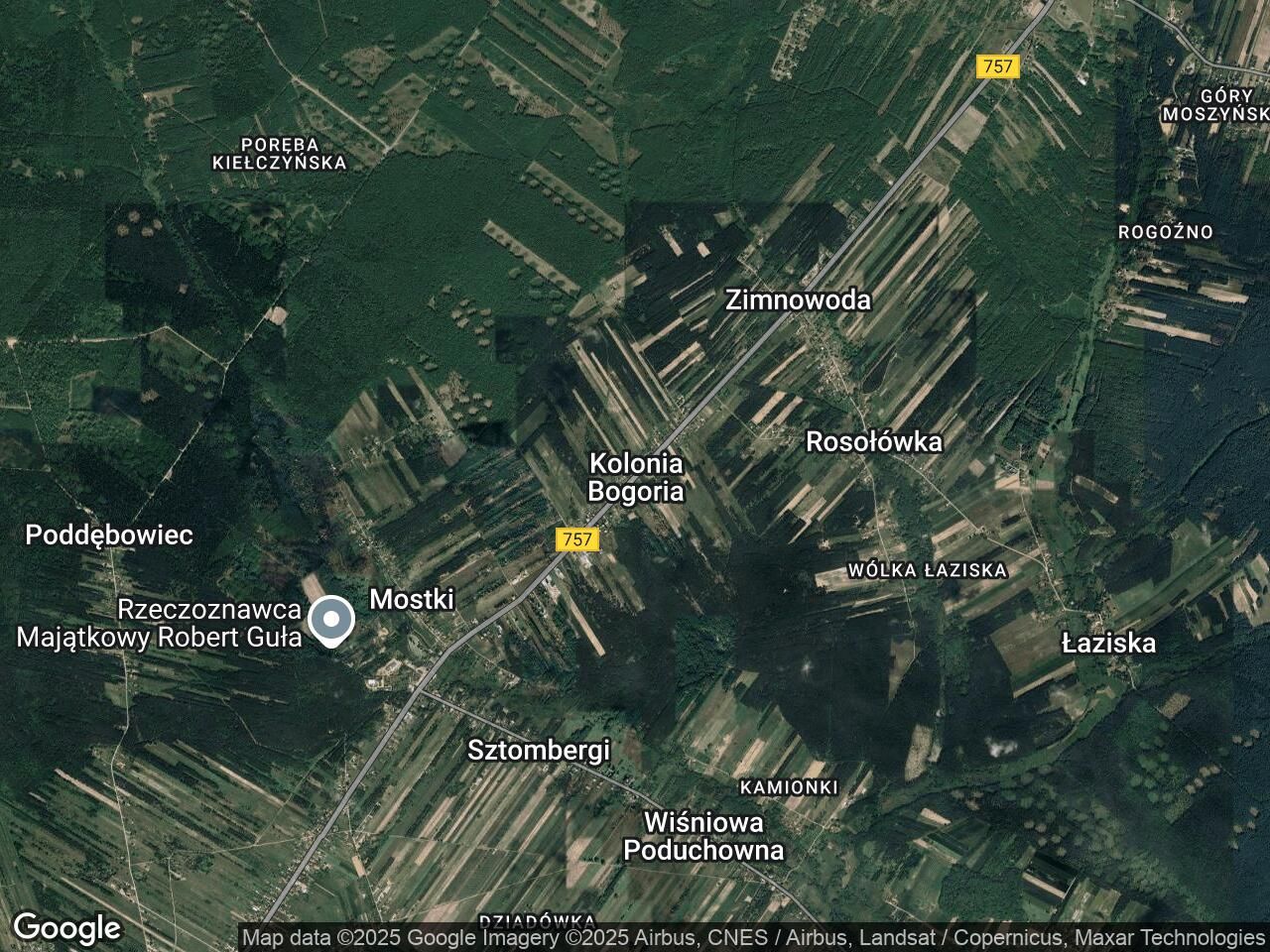 Działka leśna Kolonia Bogoria