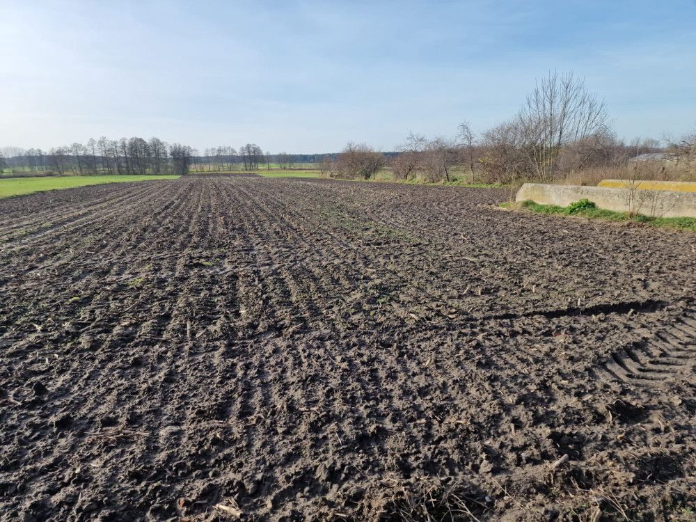 Działka rolna Biskupice. Zdjęcie 7