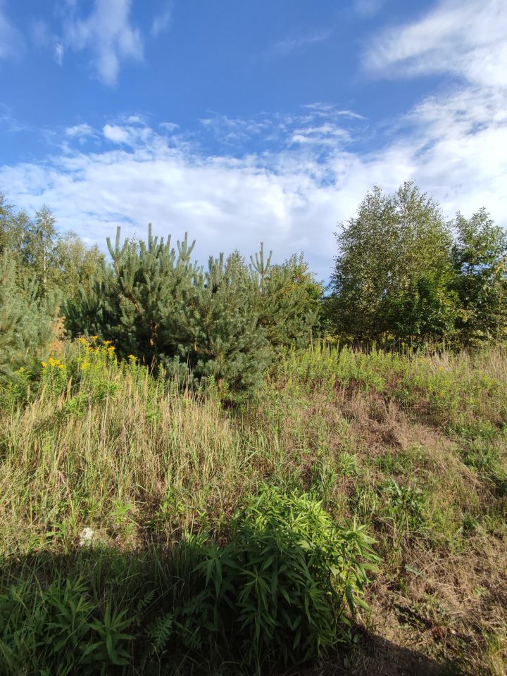 Działka budowlana Dziekanów Nowy, ul. Królowej Marysieńki. Zdjęcie 4