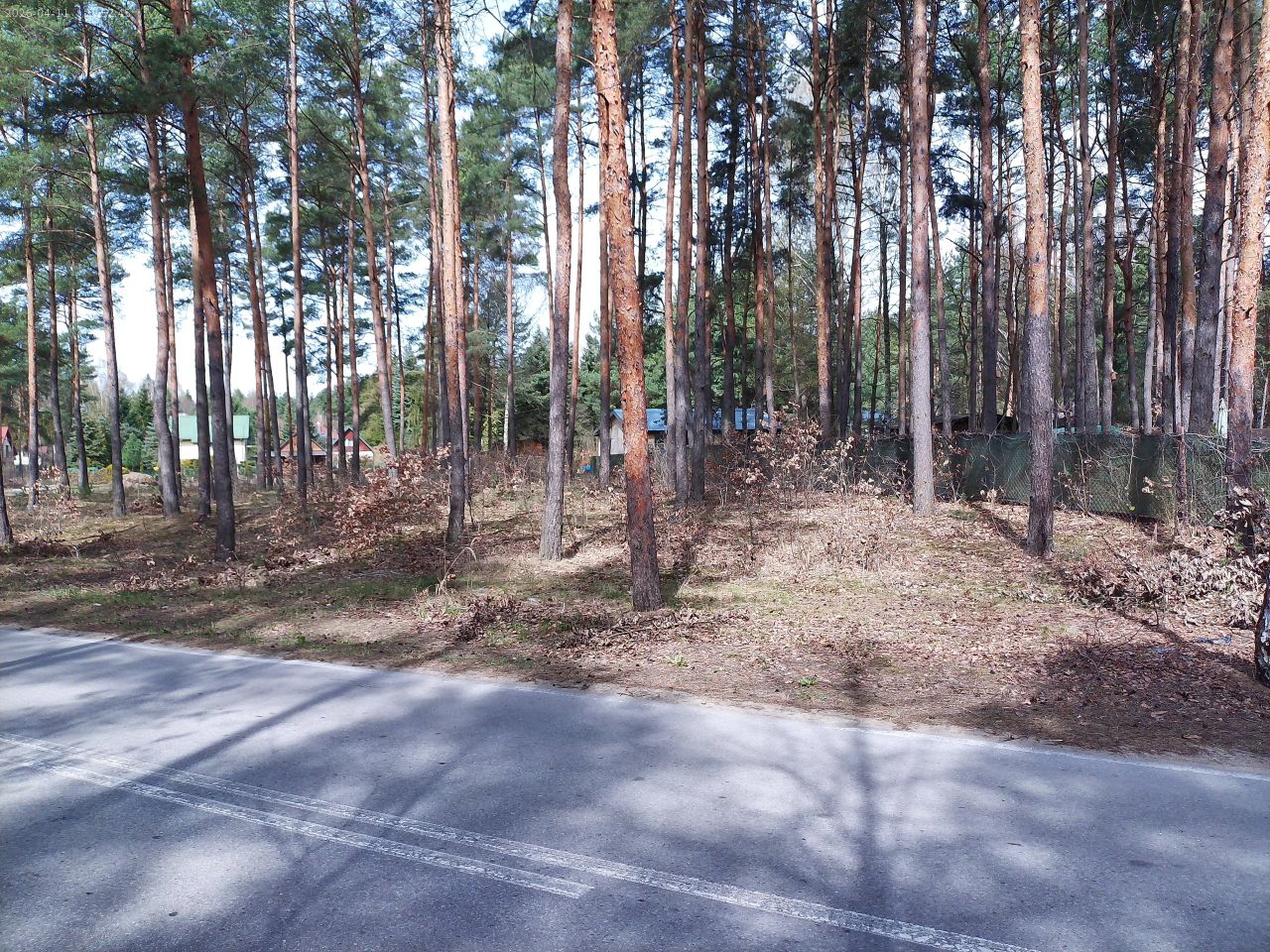 Działka budowlana Marynino, Sosnowa. Zdjęcie 6
