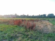 Działka rolno-budowlana Henryków Lubański. Zdjęcie 1