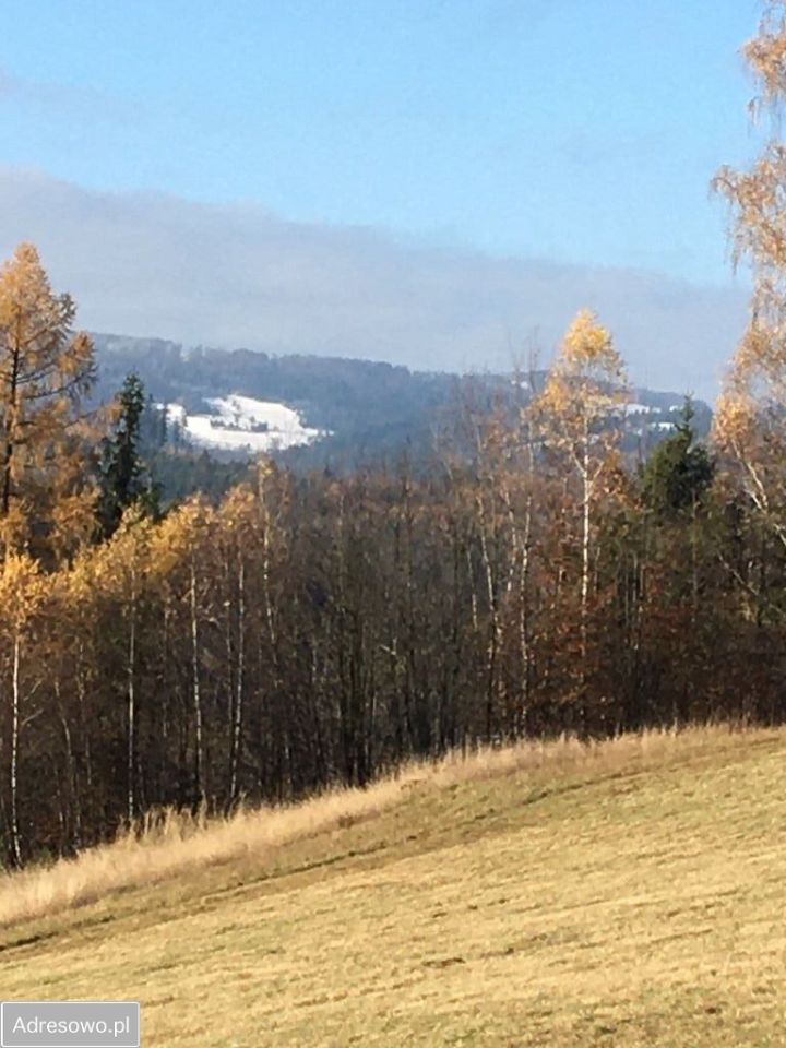 Hotel/pensjonat Wisła. Zdjęcie 20