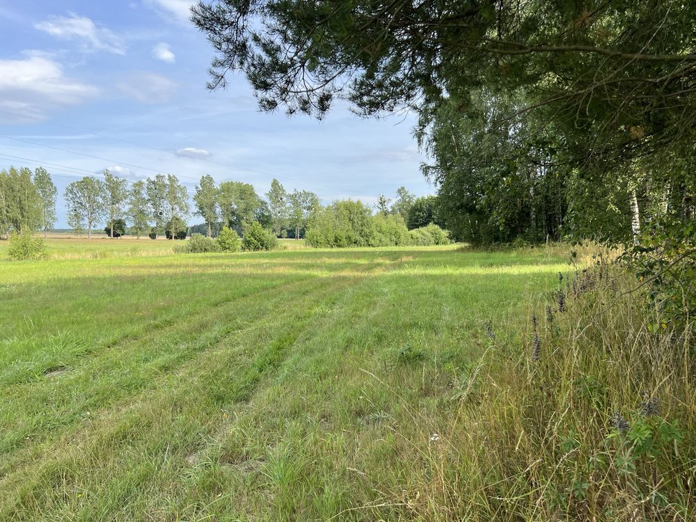 Działka rolna Henrykowo. Zdjęcie 8