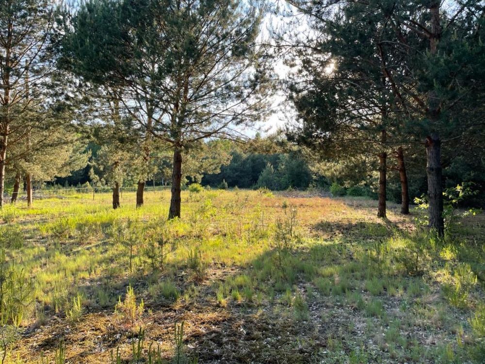 Działka rod Nowe Bosewo. Zdjęcie 3