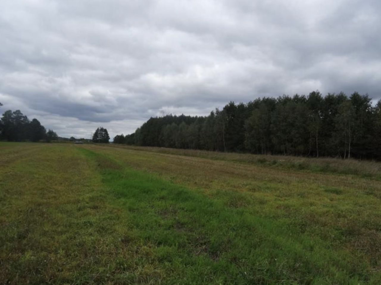 Działka rolna Kuflew. Zdjęcie 2