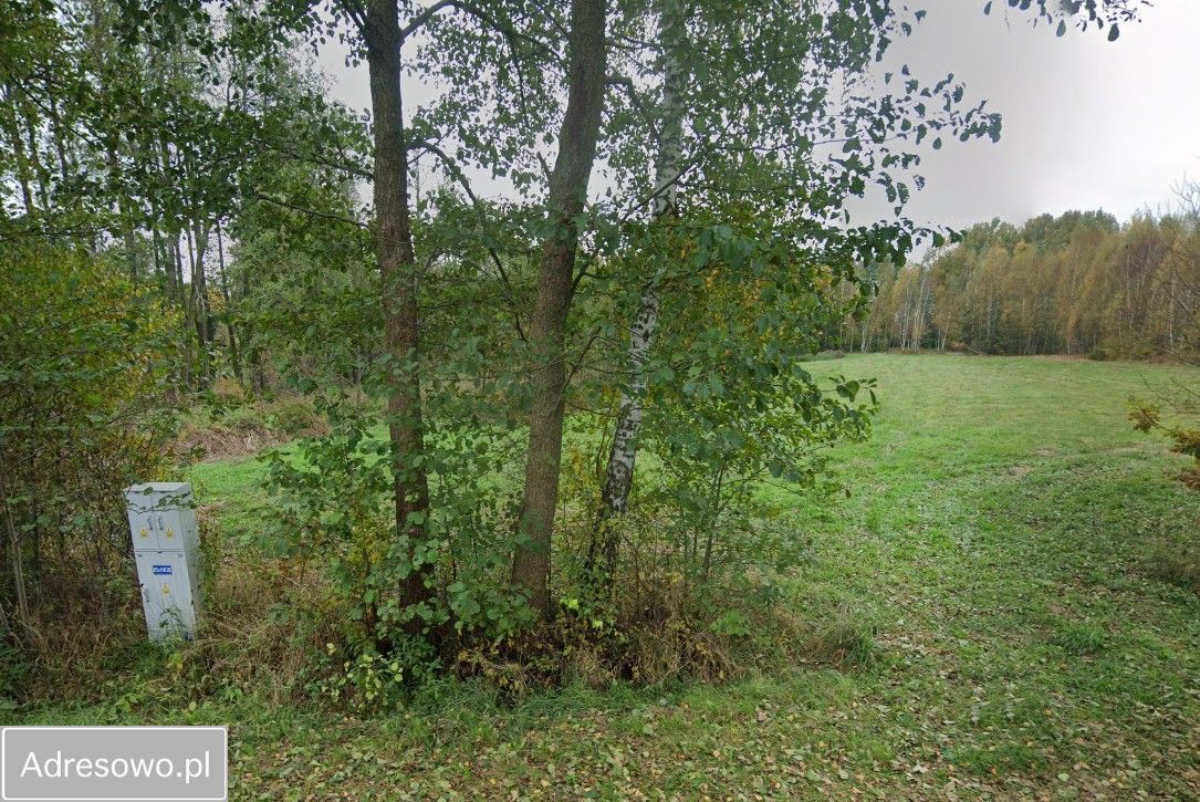 Działka inwestycyjna Kąty-Miąski. Zdjęcie 7