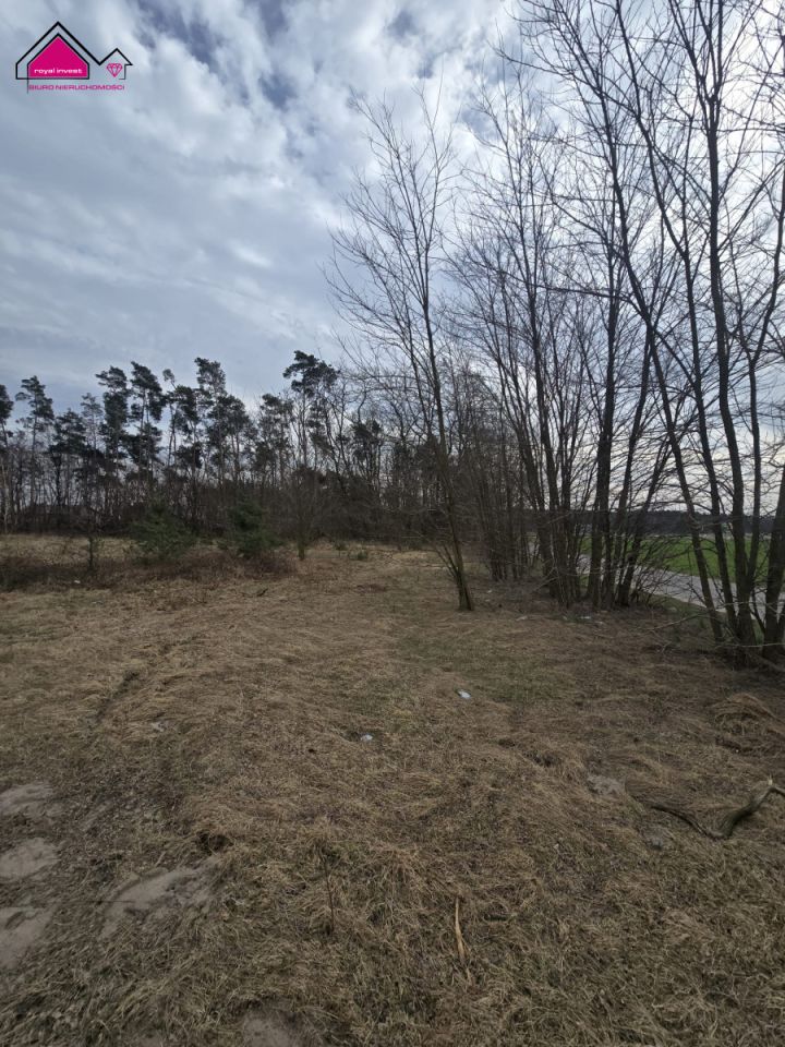 Działka budowlana Lisiec Mały. Zdjęcie 6