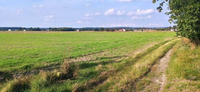 Działka inwestycyjna Orzesze Gardawice. Zdjęcie 1