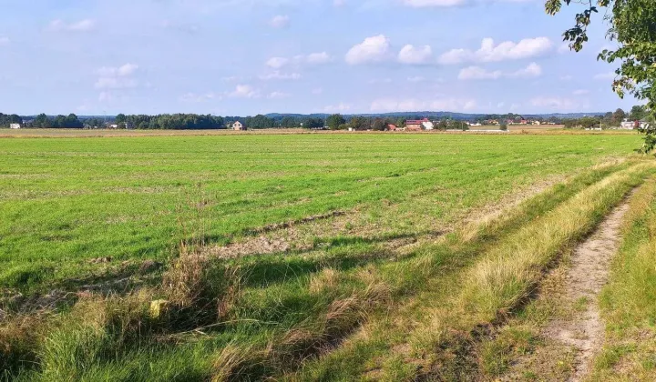 Działka inwestycyjna Orzesze Gardawice, ul. Przyjaźni