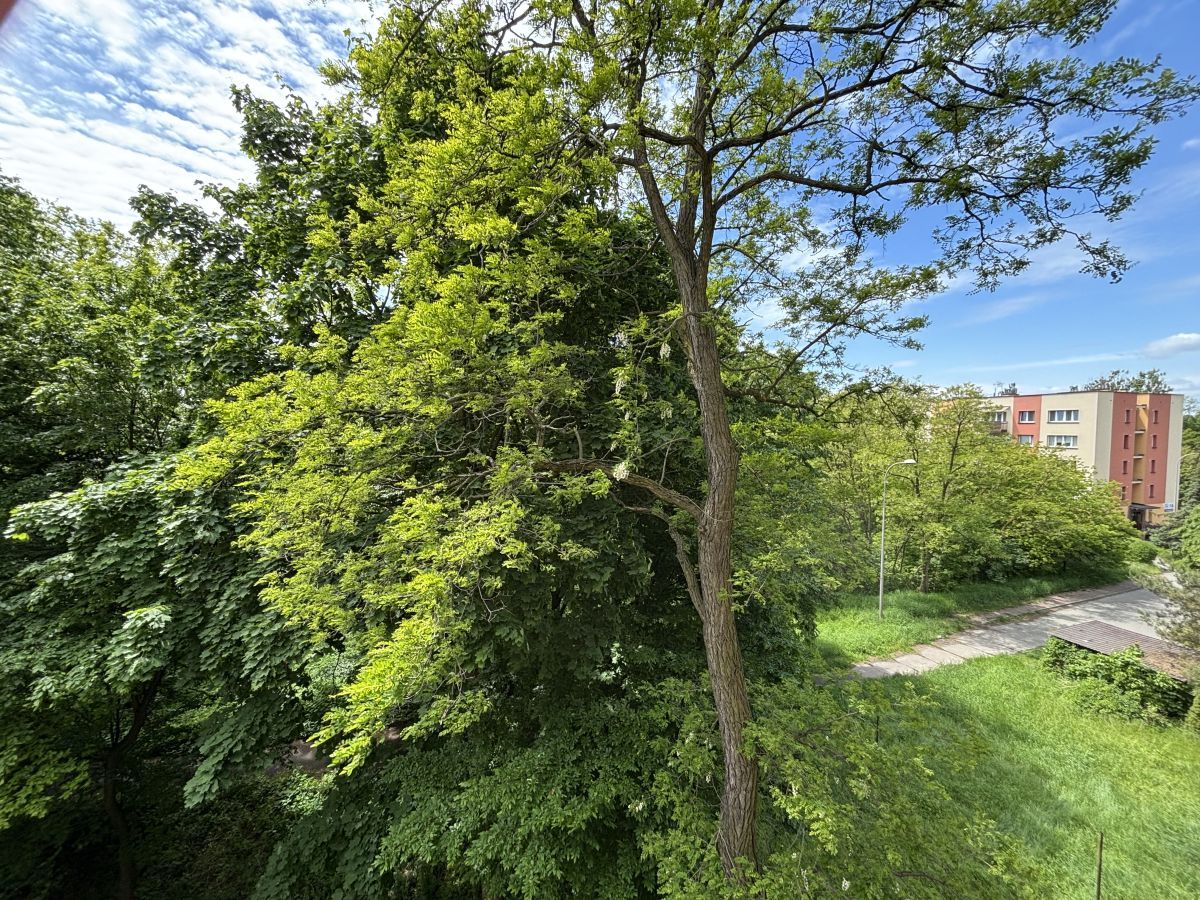 Mieszkanie 3-pokojowe Dąbrowa Górnicza Ząbkowice, ul. Chemiczna