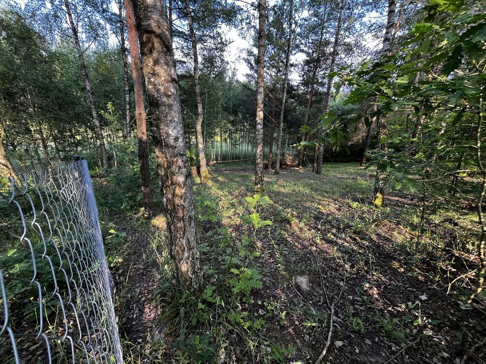 Działka rekreacyjna Kiełpiny. Zdjęcie 6