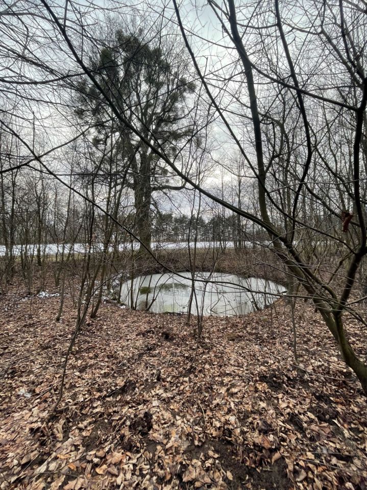 Działka inwestycyjna Łódź Widzew, ul. Jugosłowiańska. Zdjęcie 6