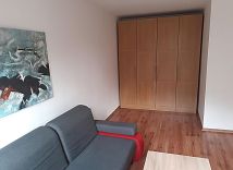 Mieszkanie 1-pokojowe Katowice Dolina Trzech Stawów, ul. Graniczna. Zdjęcie 2