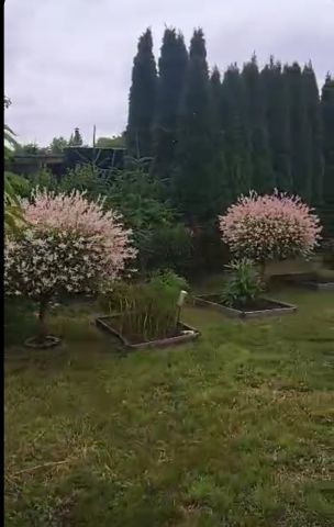 Działka rod Włocławek, ul. Jastrzębia. Zdjęcie 1