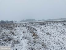 Działka rolno-budowlana Smardzów. Zdjęcie 2