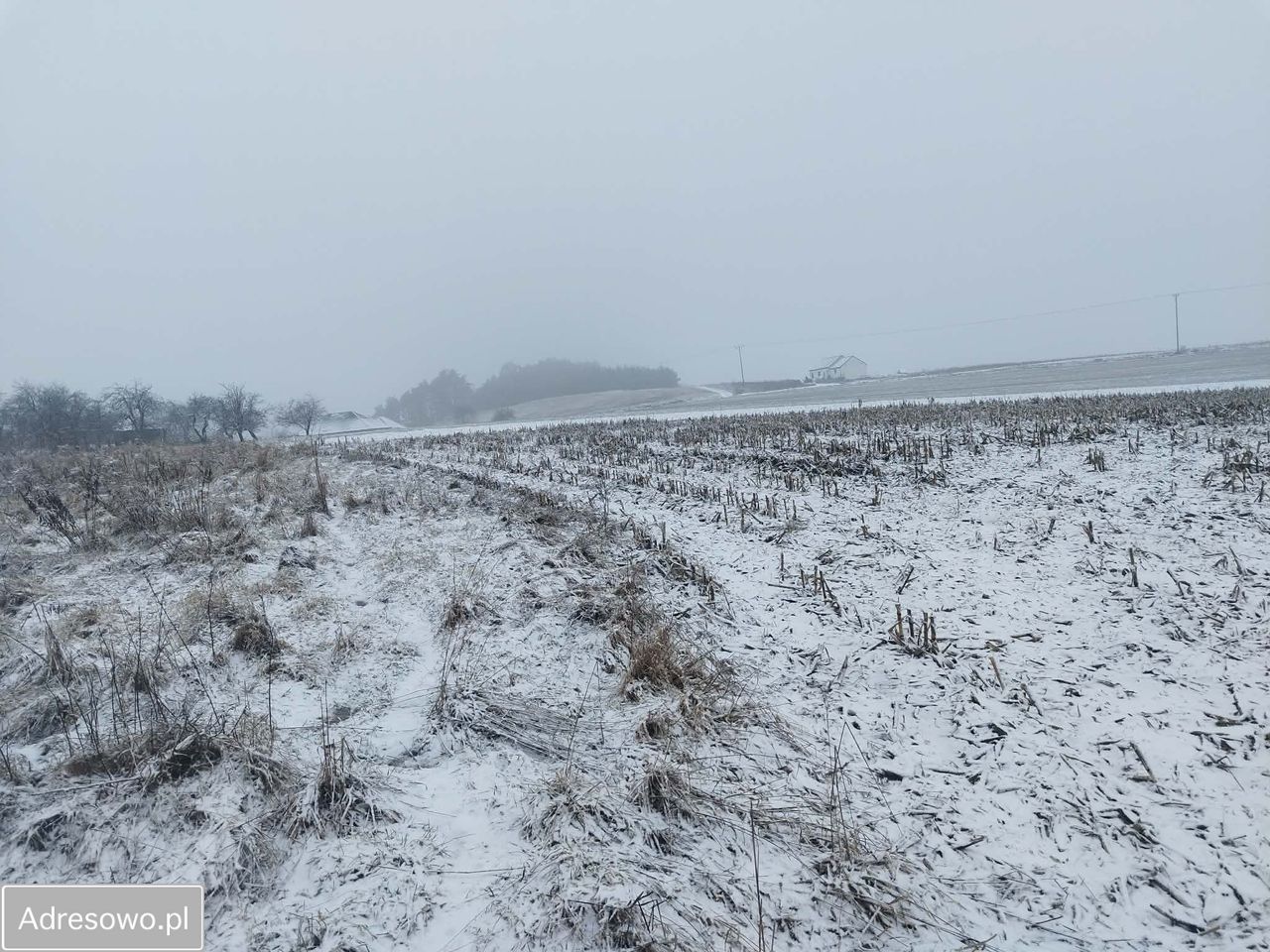 Działka rolno-budowlana Smardzów. Zdjęcie 3