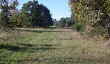 Działka rolno-budowlana Nieżyn