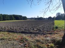 Działka budowlana Prostyń. Zdjęcie 2