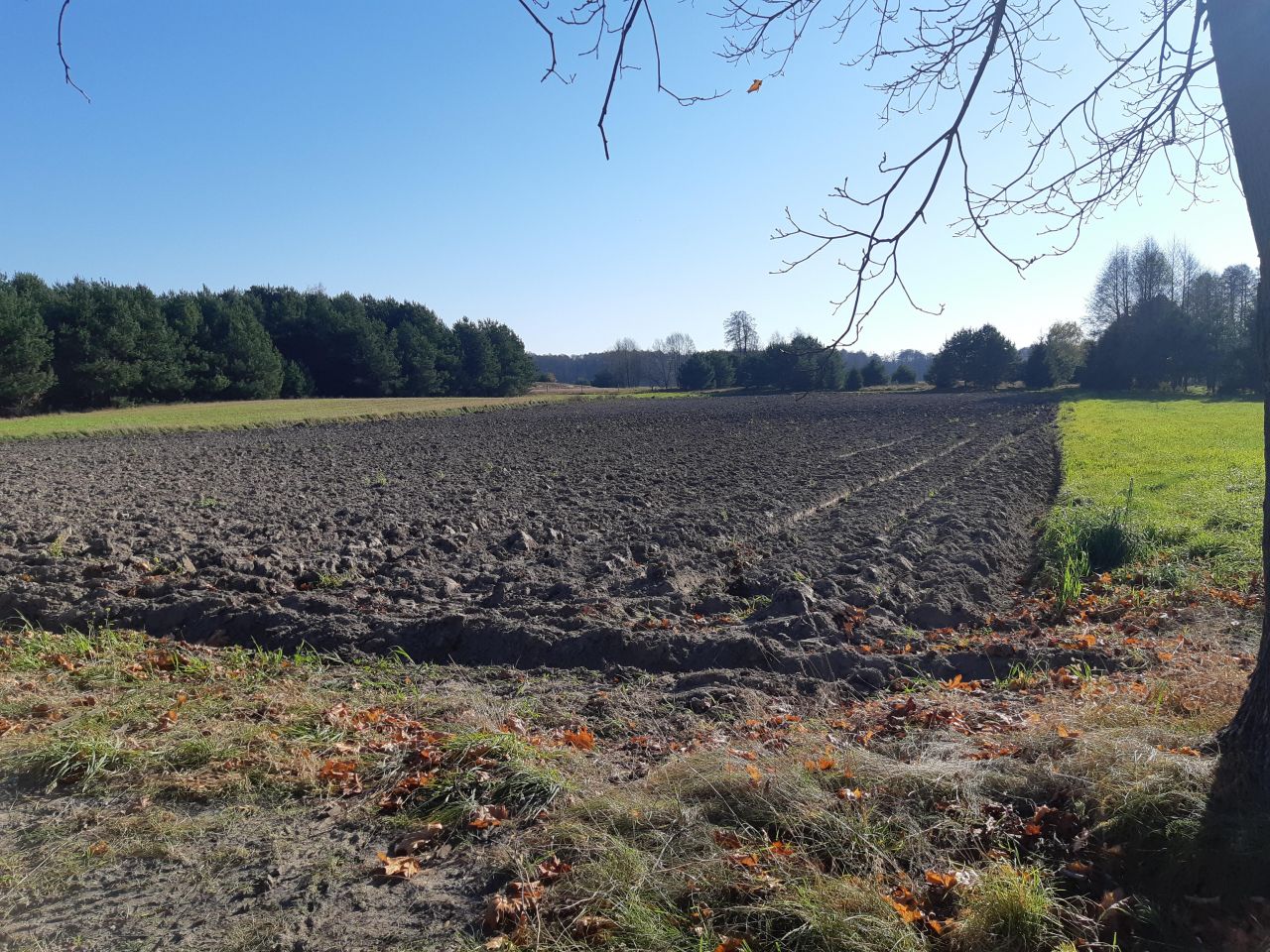 Działka budowlana Prostyń. Zdjęcie 3