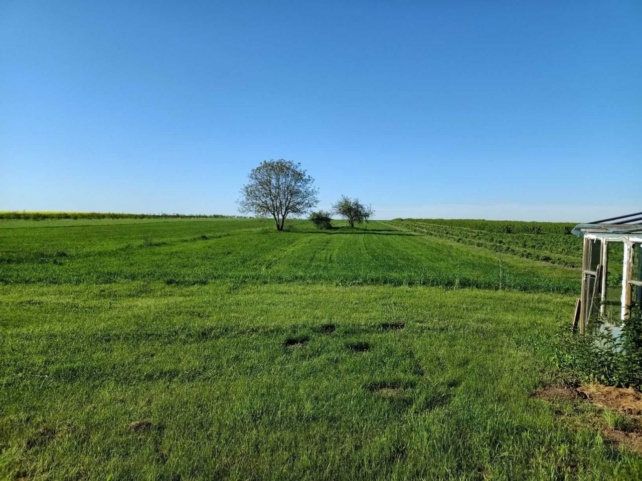 gospodarstwo, 2 pokoje Tarnówek. Zdjęcie 8