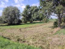 Działka rolna Jeziorsko. Zdjęcie 2